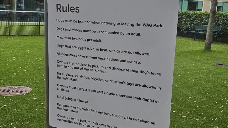 WAG - Boca Raton, FL