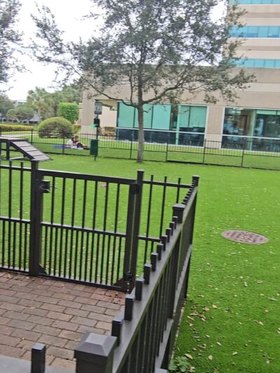 WAG - Boca Raton, FL