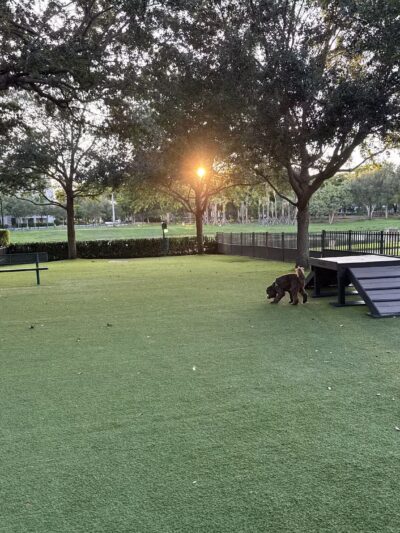 WAG - Boca Raton, FL