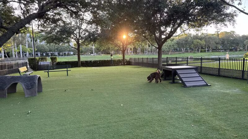 WAG - Boca Raton, FL