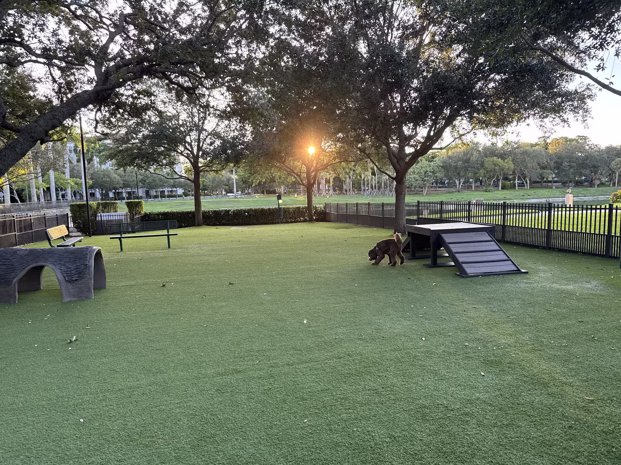 WAG - Boca Raton, FL