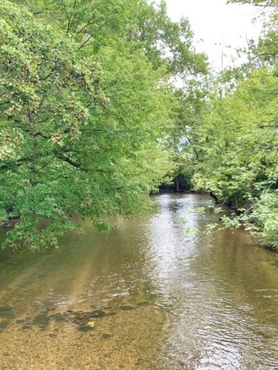 South Middleton Township Park - Boiling Springs, PA