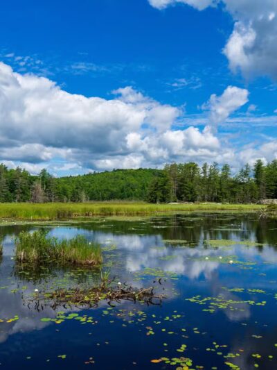 Amy's Park - Bolton Landing, NY