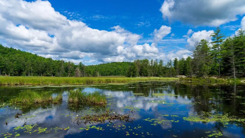 Amy's Park - Bolton Landing, NY