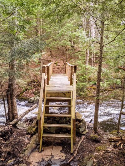 Amy's Park - Bolton Landing, NY