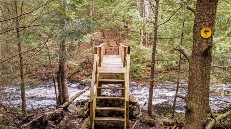 Amy's Park - Bolton Landing, NY