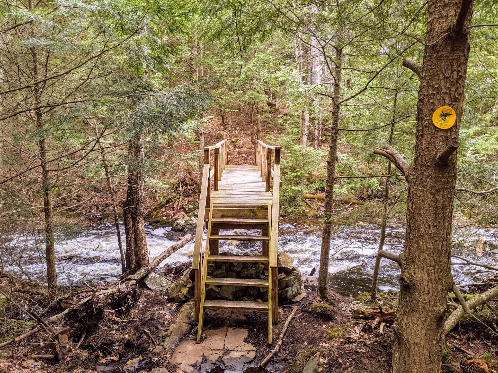 Amy's Park - Bolton Landing, NY