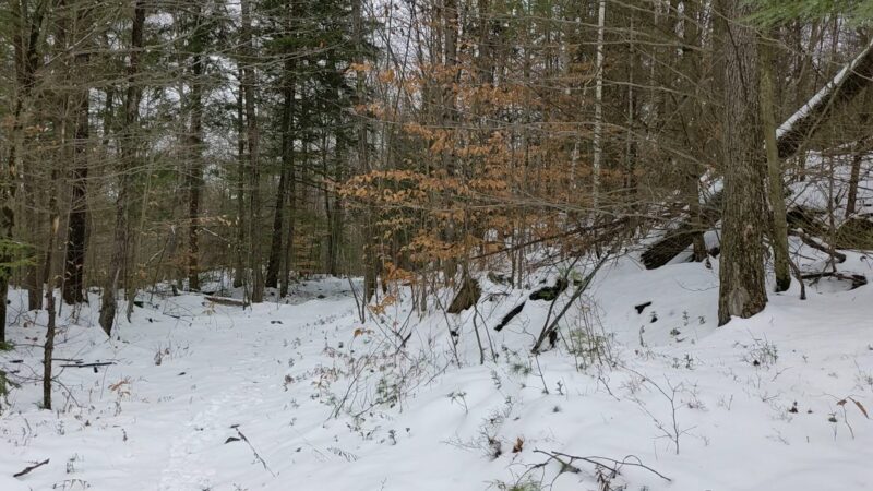 Amy's Park - Bolton Landing, NY