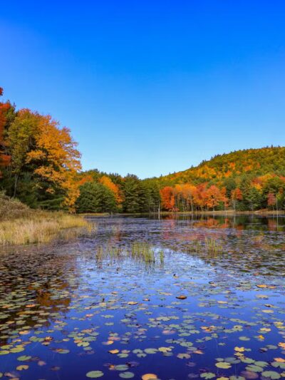 Bolton Conservation Park - Bolton Landing, NY
