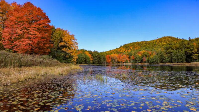 Bolton Conservation Park - Bolton Landing, NY