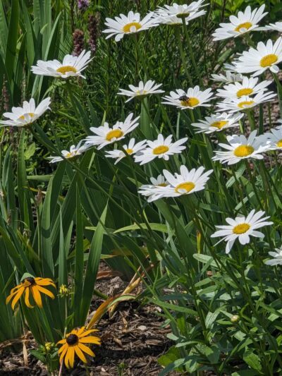 Bolton Conservation Park - Bolton Landing, NY