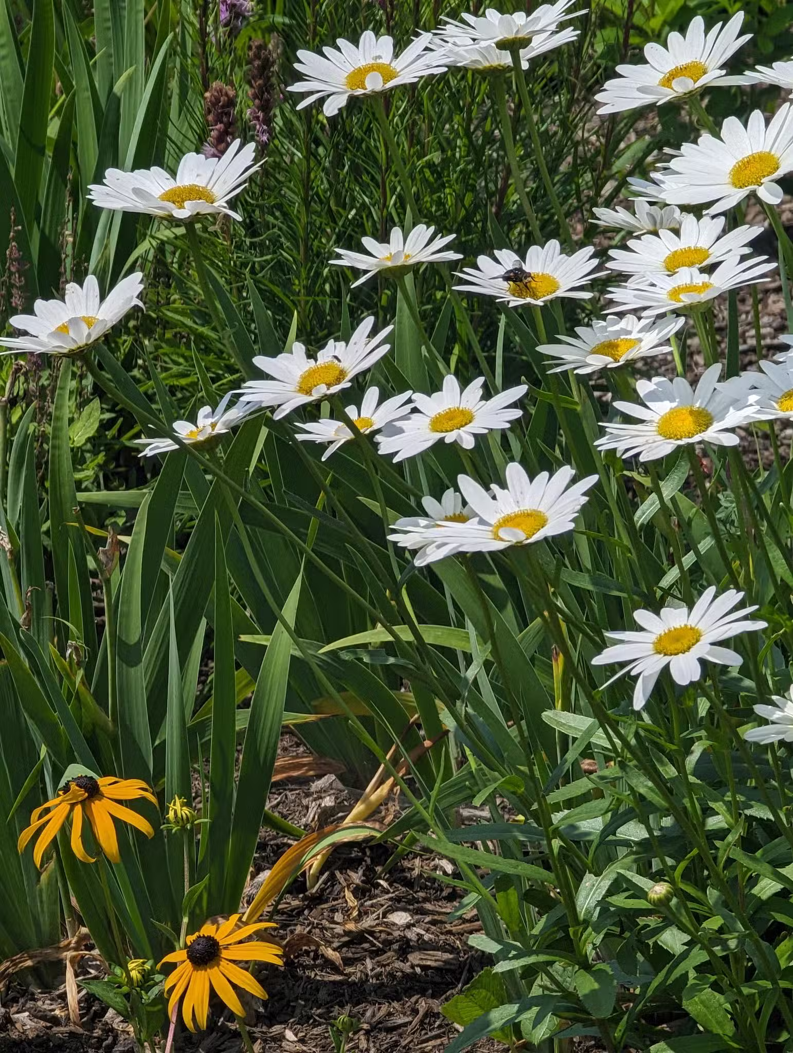 Bolton Conservation Park - Bolton Landing, NY