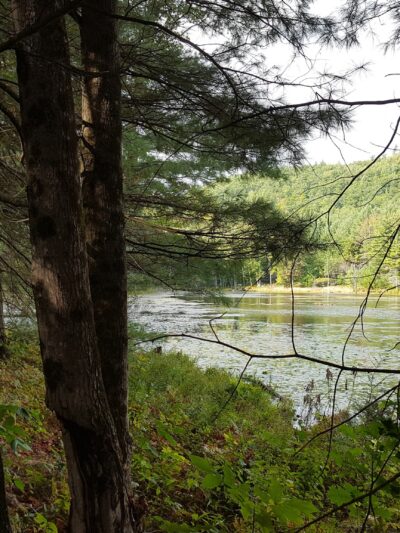 Bolton Conservation Park - Bolton Landing, NY