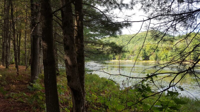 Bolton Conservation Park - Bolton Landing, NY