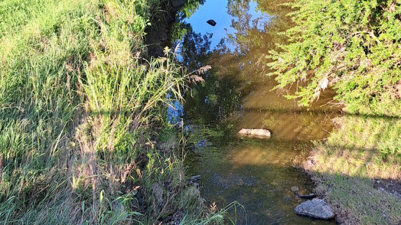 Powder Creek Park - Bonham, TX