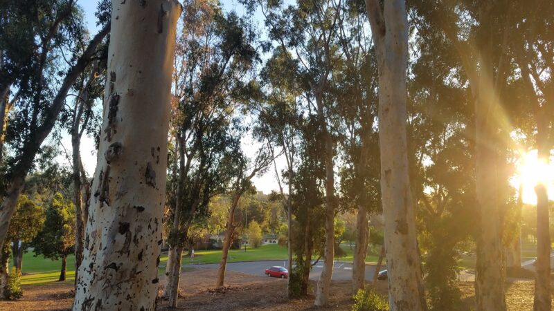 Rohr Park - Bonita, CA