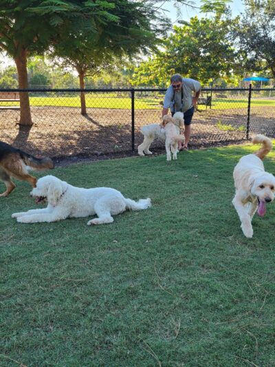 Bonita Springs Dog Park - Bonita Springs, FL