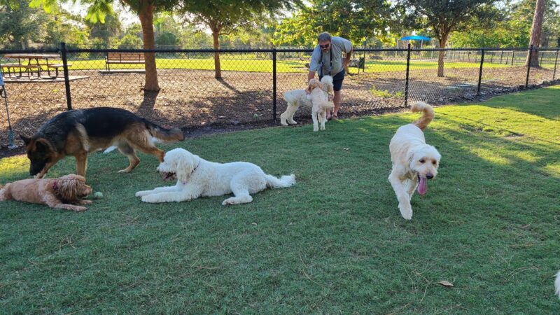 Bonita Springs Dog Park - Bonita Springs, FL