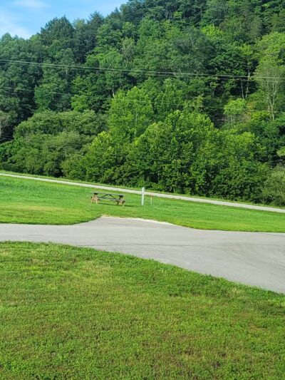 Crockettsville - Booneville, KY