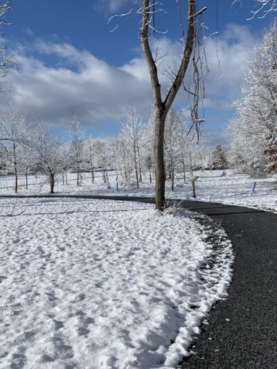 Boonsboro Park - Boonsboro, MD