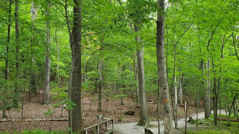 Greenbrier State Park - Boonsboro, MD