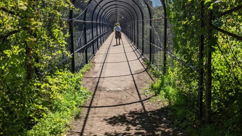 Greenbrier State Park - Boonsboro, MD