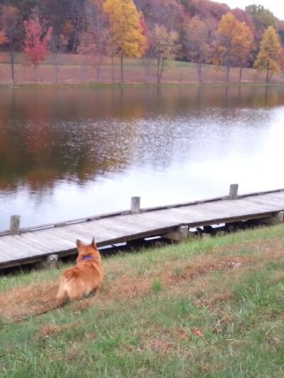 Greenbrier State Park - Boonsboro, MD