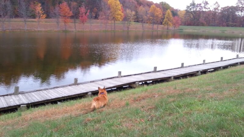 Greenbrier State Park - Boonsboro, MD