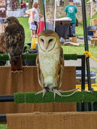 Shafer Park - Boonsboro, MD