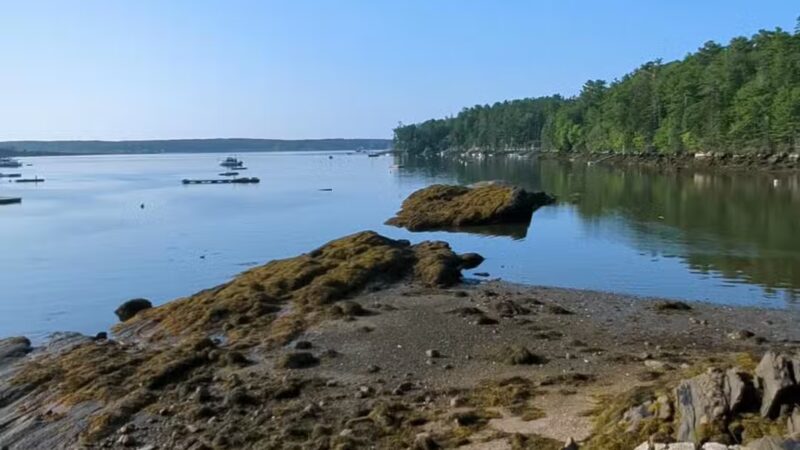 Barrett's Park - Boothbay Harbor, ME