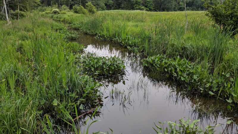 Penny Lake Preserve - Boothbay Harbor, ME