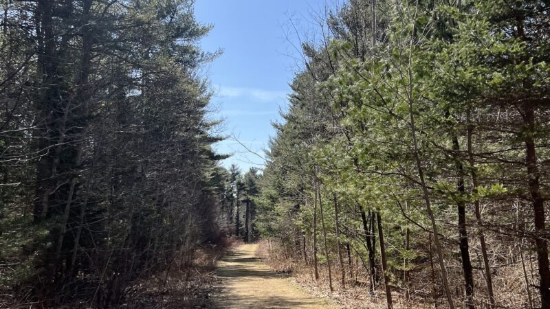 Penny Lake Preserve - Boothbay Harbor, ME