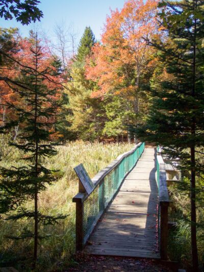 Penny Lake Preserve - Boothbay Harbor, ME