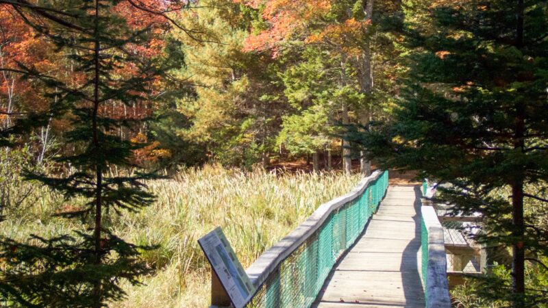 Penny Lake Preserve - Boothbay Harbor, ME