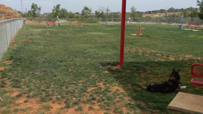 Borger Dog Park - Borger, TX