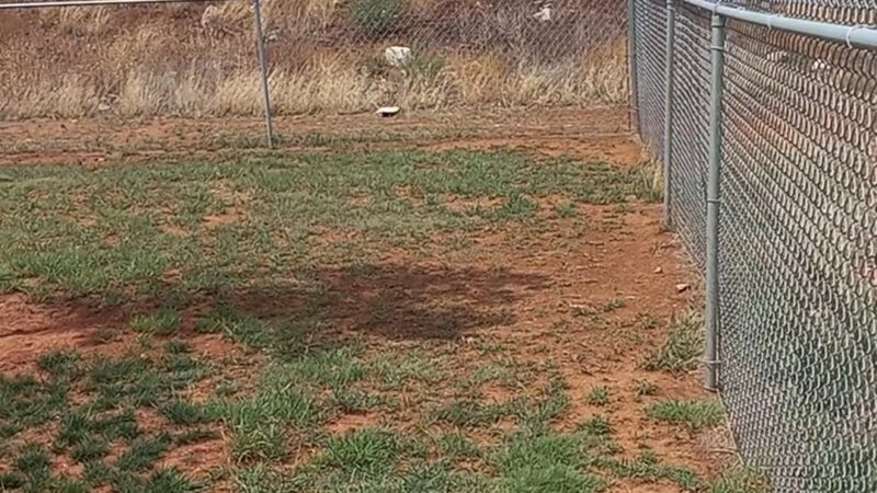 Borger Dog Park - Borger, TX