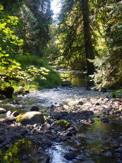 Cazadero Trail - Boring, OR
