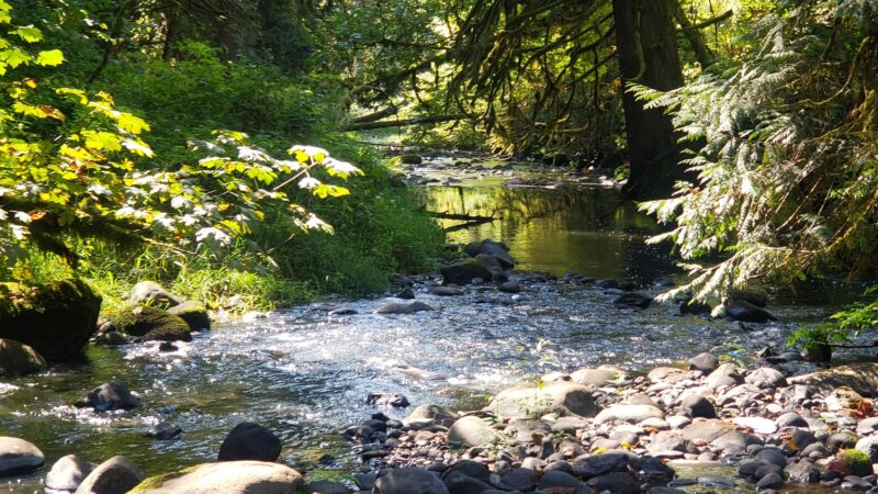 Cazadero Trail - Boring, OR