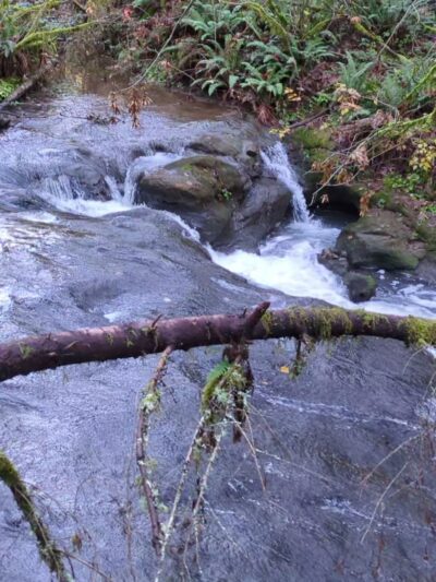 Cazadero Trail - Boring, OR
