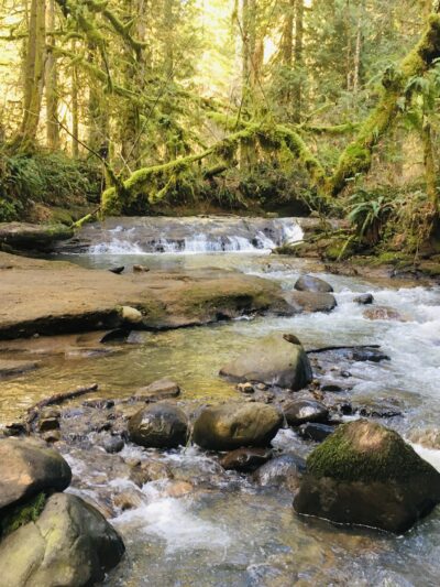 Cazadero Trail - Boring, OR