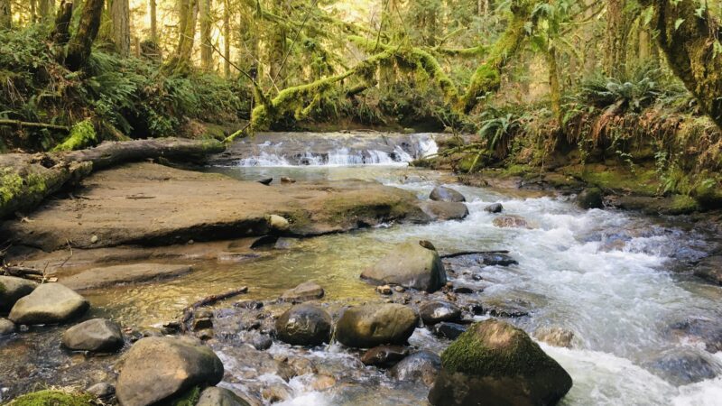 Cazadero Trail - Boring, OR
