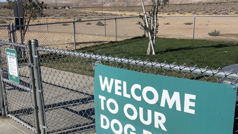 Dog Park at Love's Travel Stops - Boron, CA