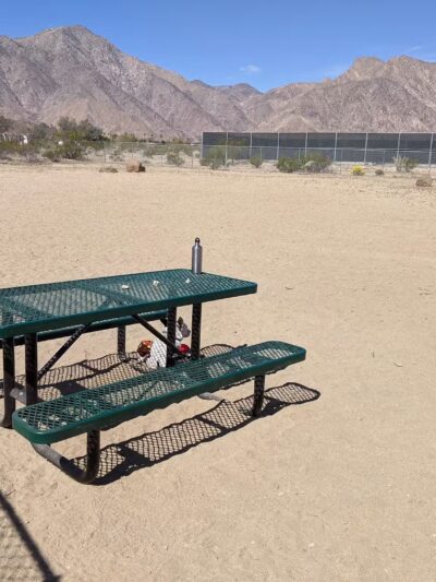 Borrego Springs Off-Leash Dog Area - Borrego Springs, CA