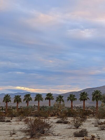 Borrego Springs Off-Leash Dog Area - Borrego Springs, CA