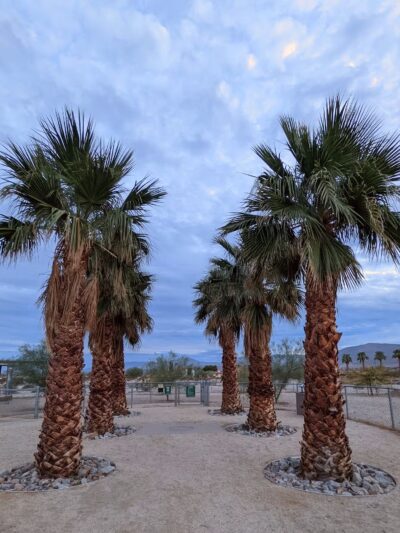 Borrego Springs Off-Leash Dog Area - Borrego Springs, CA