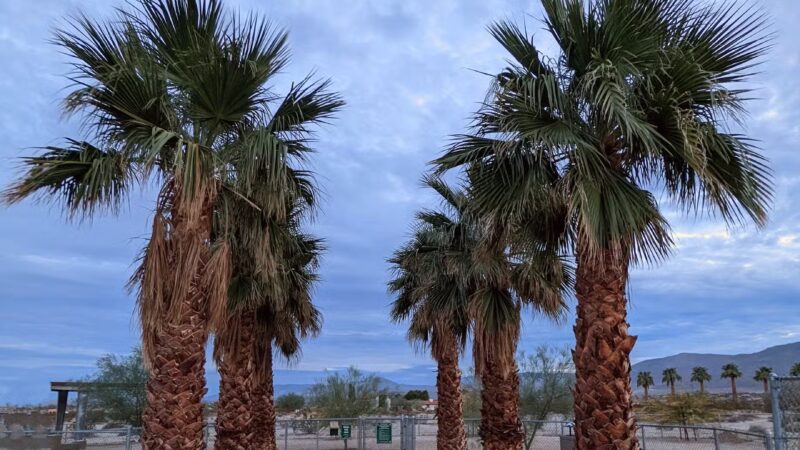 Borrego Springs Off-Leash Dog Area - Borrego Springs, CA