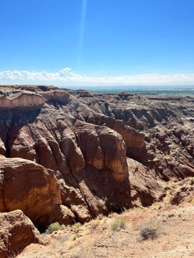 Plateau Hame De Colquhoun - Bosque, NM