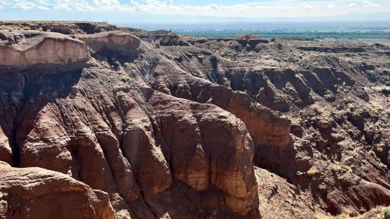 Plateau Hame De Colquhoun - Bosque, NM