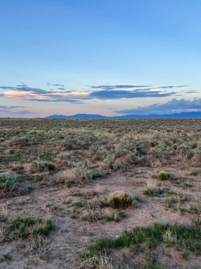 Plateau Hame De Colquhoun - Bosque, NM