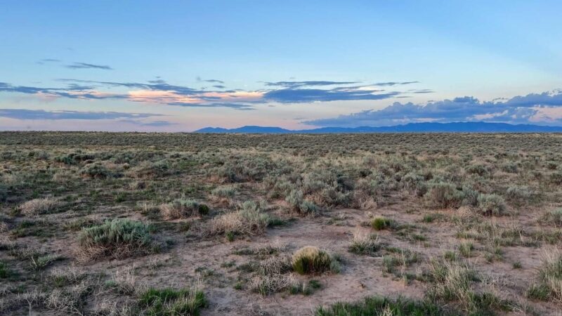Plateau Hame De Colquhoun - Bosque, NM